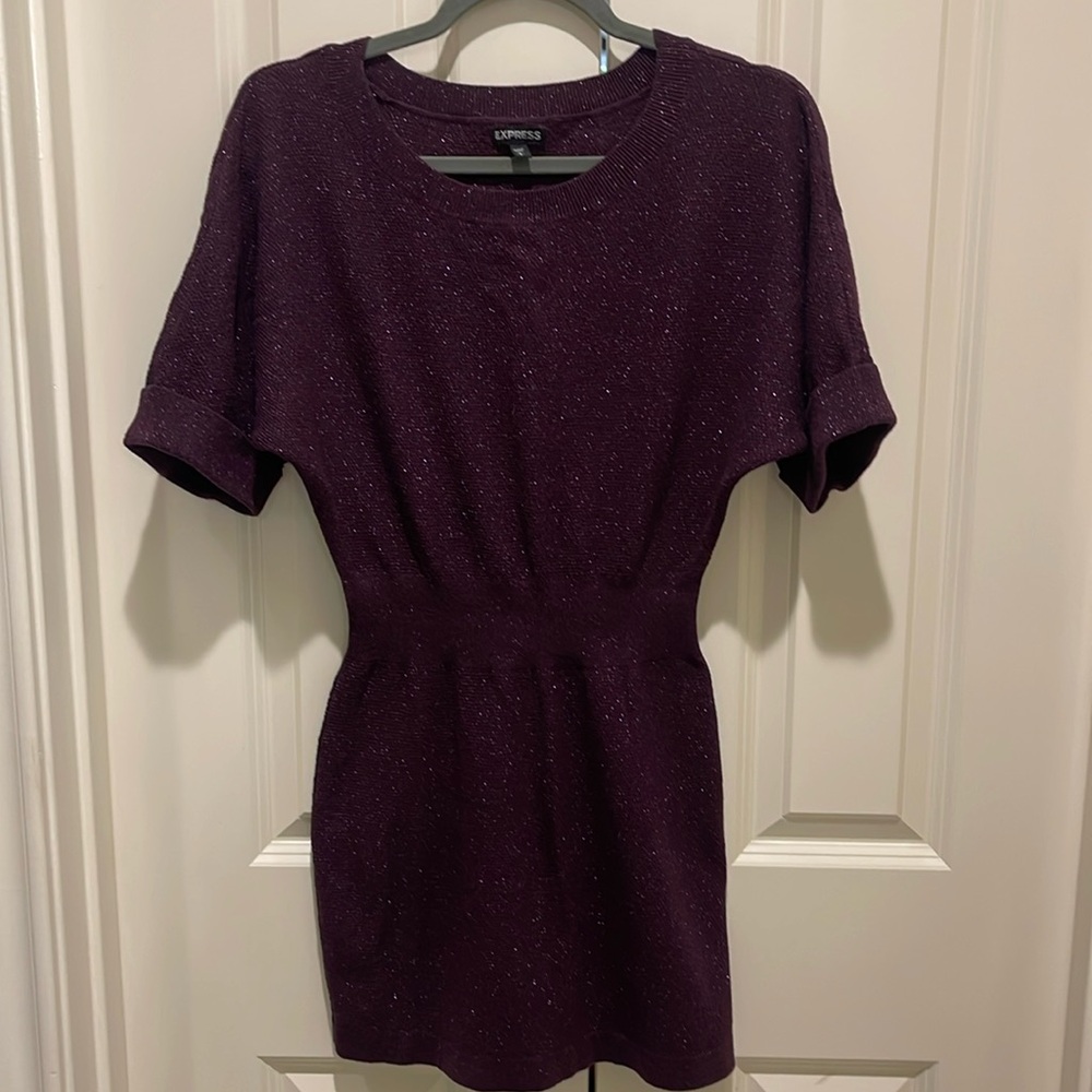Express Metallic Dress